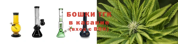 дмт Сосновый Бор
