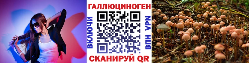 Галлюциногенные грибы MAGIC MUSHROOMS  Верхотурье 